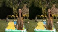 summertime topless bikini babe having water fun in crosseyed 3d