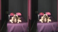 lena on the bed in crossview 3d
