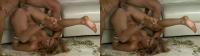 SBS 3D tanned having anal sex on the floor