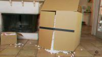 lexi bloom anaglyph gift cardboard box