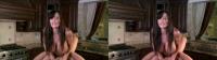 SBS 3D HD POV in 1080p sex with Lisa Ann in her kitchen