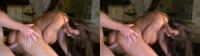Lisa Ann having doggystyle sex in stereoscopic porn image