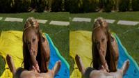 crosseyed 3d POV oral sex with blonde babe Nikki Sexx