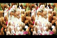3D TV pussy eating porn
