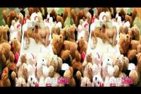 stereoscopic porn blonde bimbo gets oral sex amids her teddy bears
