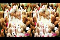 3D TV pussy eating by Steve Awesome