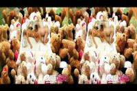 crossview 3D pussy eating amongst the teddy bears