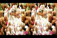 Cute teen gets her pussy eaten amids her teddy bears in crossview 3D porn