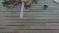 anaglyph 3d babe by the pool